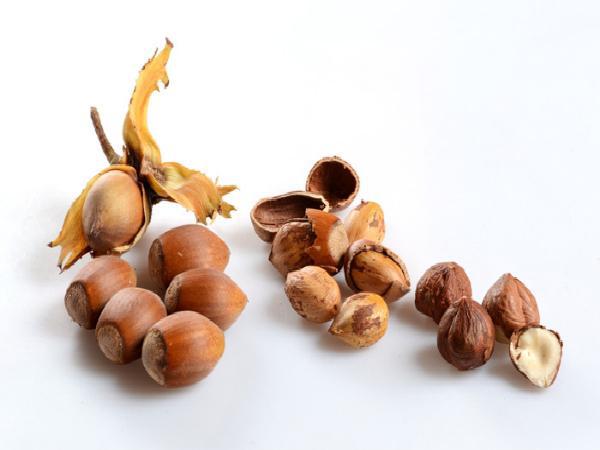 انواع بادام زمینی و فندق کدام اند؟