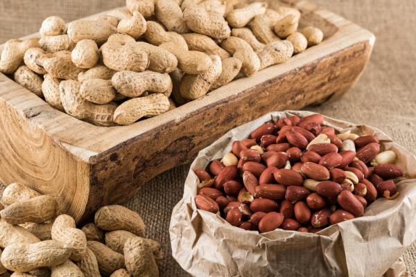 تهیه بادام زمینی و فندق به همراه تخفیفات ویژه