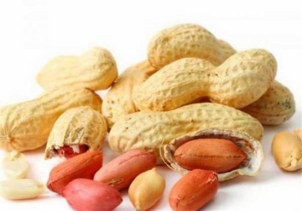 نظر متخصصان طب سنتی درباره بادام زمینی